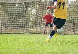 揭秘秘籍,双色球,独家稳定红,500彩票网官方,500万网彩票,500彩票,500万彩票网