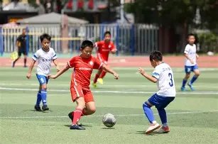 揭秘胜率王,期大乐透独,家预测,500彩票网官方,500万网彩票,500彩票,500万彩票网