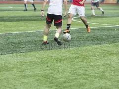 重庆彩神,独家揭秘,大乐透,500彩票网官方,500万网彩票,500彩票,500万彩票网