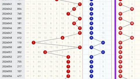 第2026025期 大乐透2026025期专家独门前区三码推